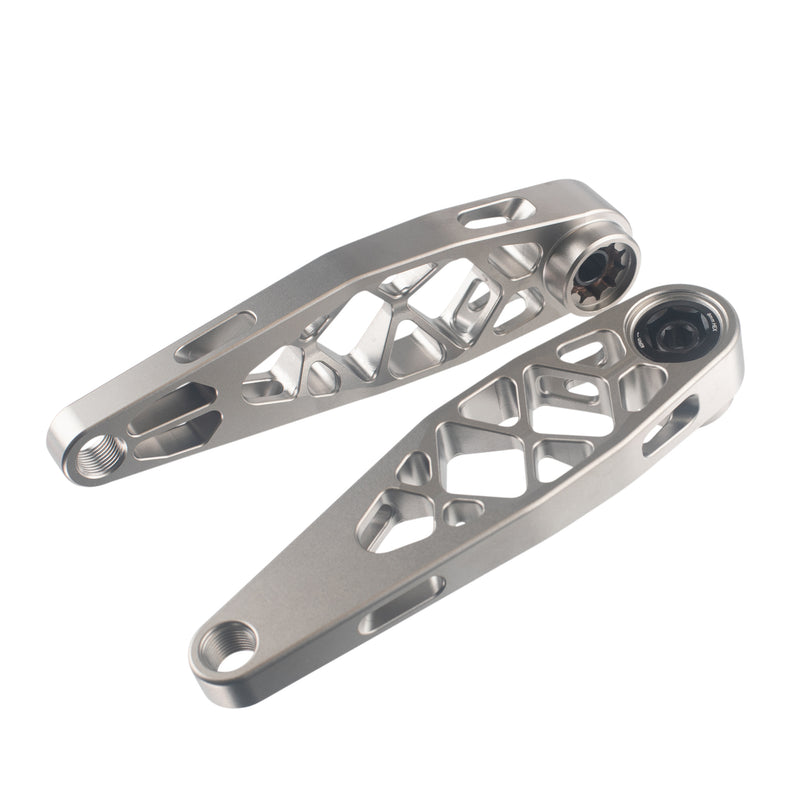 Titanium Bosch - TQ - 2025 Specialized Levo eCranks